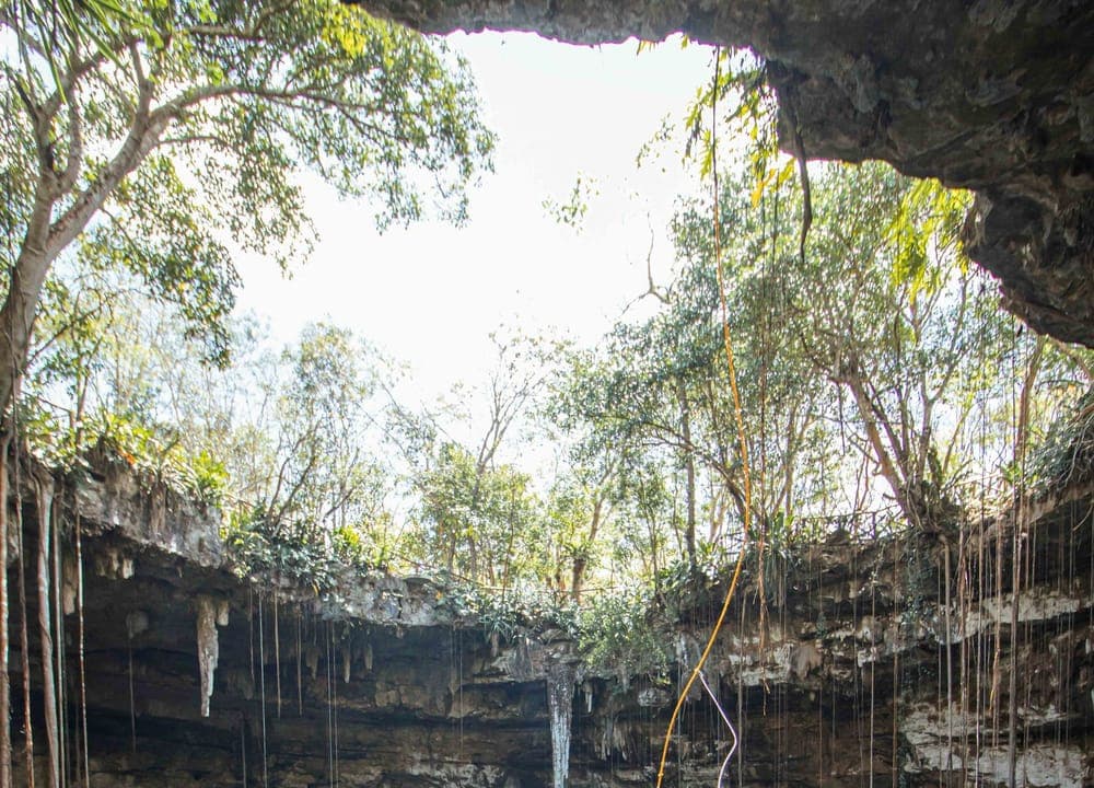 Naturaleza extrema